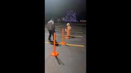 Pappy the Poodle Training for the World Record