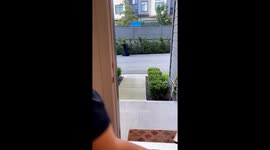 I Didn’t Need to Go Outside Anyway…