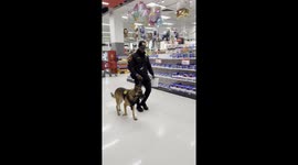 K9 Recognizes His First Handler