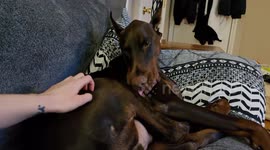 When Your Tongue Software Needs an Update