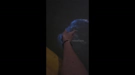 Kayakers stumble upon glowing bioluminescence—TikTok clip from Thailand hits 100K views