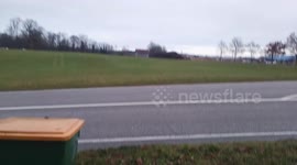 Rare New Bird Species Caught on Camera