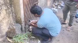 Puppy’s head trapped between iron door bars, prompts swift rescue operation from concerned officials