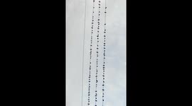 SoLu Bhai Video File | Bird Flying sky | Just Looking Awsome