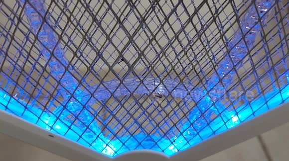 Electric anti mosquito racket with blue light to attract insects. French island of Martinique, Caribbean, West Indies, France, 10 December 2025