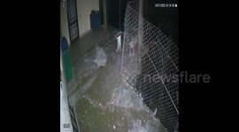 India: A family was sleeping at home when a bear broke through a window, entered the kitchen, and stole food.