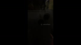 The blue jet on the flight