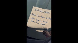 Kittens rescued from inside car engine by residents at parking area