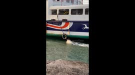 Swimmer holds onto rope while being pulled by ship