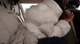 China: Emerging application scenarios fuel China's low-altitude economy