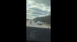 The Grinch Pops Motorcycle Wheelies