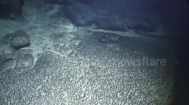 China: Chinese research vessel releases footages of deep-sea mineral, bio-resources