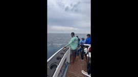 Close Call With a Blue Marlin Nearly Jumping in the Boat