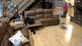 Niece Slips and Slides Down Stairs