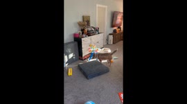 Cat Chilling In A Sunny Chair