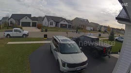 Bald Eagle Delivers Bunny