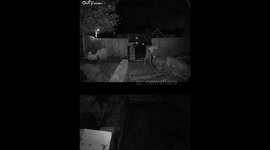 Person Steals Bricks Then Falls Over