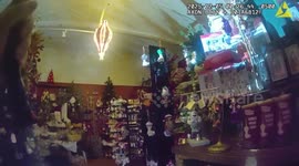US: Reindeer Crashes Into Christmas Shop After Eggnog Binge
