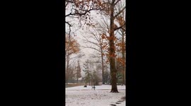 Winter snowfall sweeps through Williamsburg, Virginia, USA