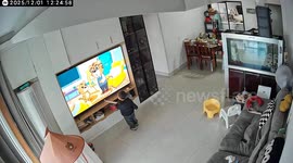 Boy engrossed by cartoon suddenly smashes TV with toy leaving it broken