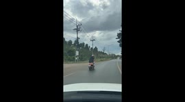Dog wearing helmet enjoys a calm motorcycle ride in Prachin Buri, Thailand
