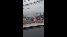 Three carabaos walking along the highway in Consolacion, Cebu, Philippines