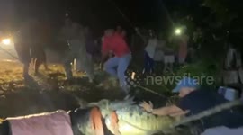 Captured crocodile secured by authorities in Palawan, Philippines