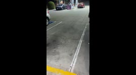 Calm dog sits in van at gas station in Los Angeles, California, USA