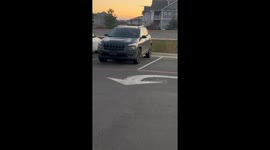 Mouse’s tail accidentally run over in Harrisonburg, Virginia, USA