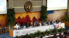 Kenya: China-backed biodiversity fund lauded for advancing green agenda