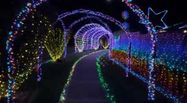 Man spends $25k on festive display complete with car covered in 3,600 lights