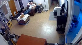 Energetic cats react to food in Alamogordo, New Mexico, USA