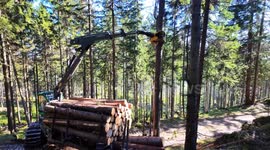 John Deere 1510G Forwarder Stuck Between Slopes After Harvester Error | 4K 60fps Rescue Maneuver