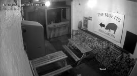 ‘Grinch’ thief steals 6ft Santa from pub before fleeing in taxi