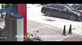 China: The Miracle of Extra Padding