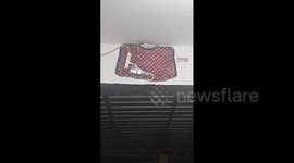 China: The Coziest Winter Airbnb for Tired Swallows