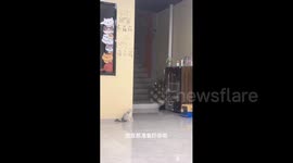 China: The Ambush Expert