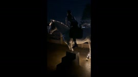 Christmas Lights & Equestrian Grace: A Magical Art Performance