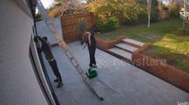 I was at home, relaxing on the sofa with my daughter while our window cleaner and his partner were outside doing the windows. Suddenly we heard shouting, so I looked outside and saw him kick something. It turned out to be a huge rat that had jumped off th