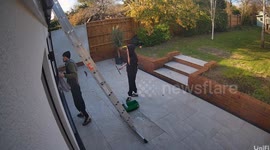 Massive Rat Meets Window Cleaner What Happens Next Will Shock You!