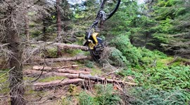 ohn Deere 1070E Harvester Thinning Young Mountain Forest | Precision Forestry in 4K