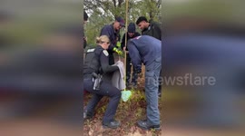 US: Bluffton Firefighters Rescue Cat Stuck In Drain Pipe