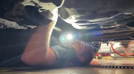 US: Kitten “Flash” Rescued After Becoming Trapped Under Vehicle In Bluffton