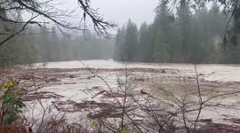 US: Atmospheric River Brings Major Flooding in Western Washington 10