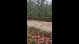 US: Atmospheric River Brings Major Flooding in Western Washington 12