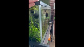 Japan: Earthquake Strikes Aomori, Tsunami Advisory Issued for Coastal Areas 3