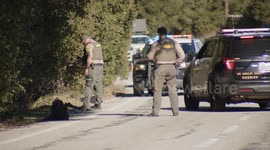 US, Los Angeles: Newhall Pass Body Found In Vegetation Along Roadway In Suspected Hit-And-Run