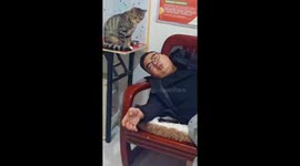 Playful kitten tries to wake sleeping man in Heilongjiang, China