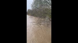 Cedar River flooding after atmospheric river in Renton, Washington, USA