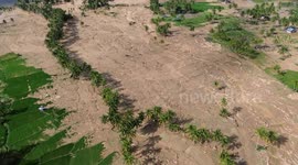 Forest Debris from Illegal Logging Pollutes Lake Singkarak, Solok, West Sumatra, Indonesia